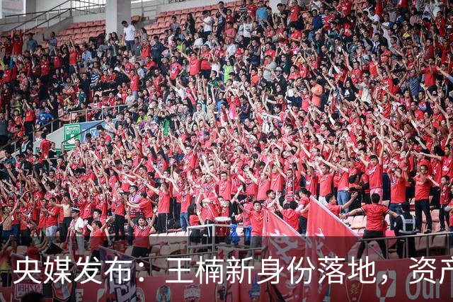 央媒发布：王楠新身份落地，资产冻结、被带走调查传闻早有真相！