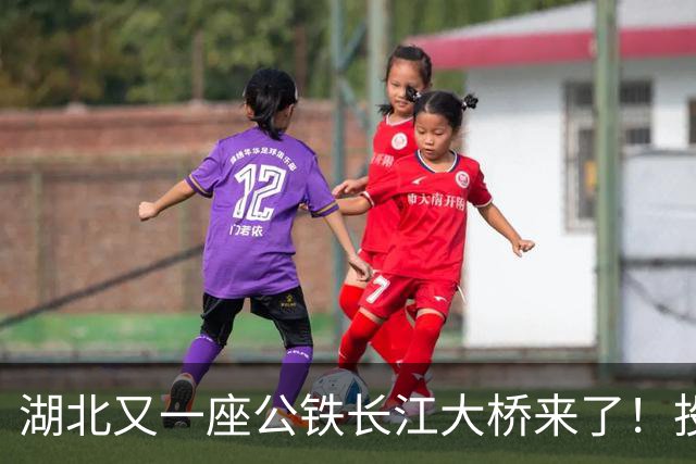 湖北又一座公铁长江大桥来了！投资‌116亿元‌，路线长‌9.7公里